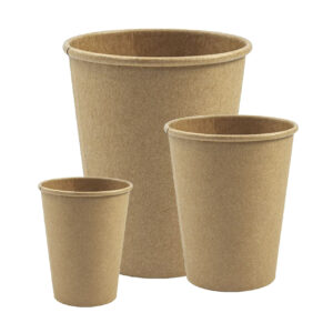Bicchieri in cartoncino 75-297-355 ml