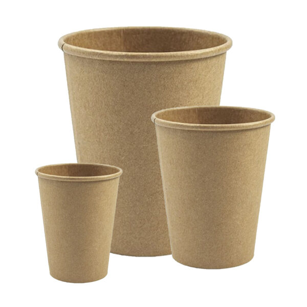 Bicchieri in cartoncino 75-297-355 ml
